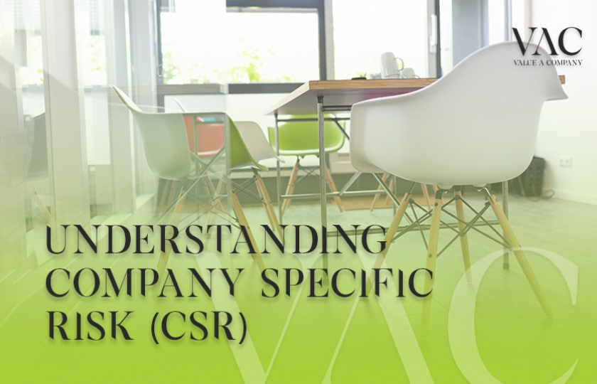 Understanding Company Specific Risk (CSR)