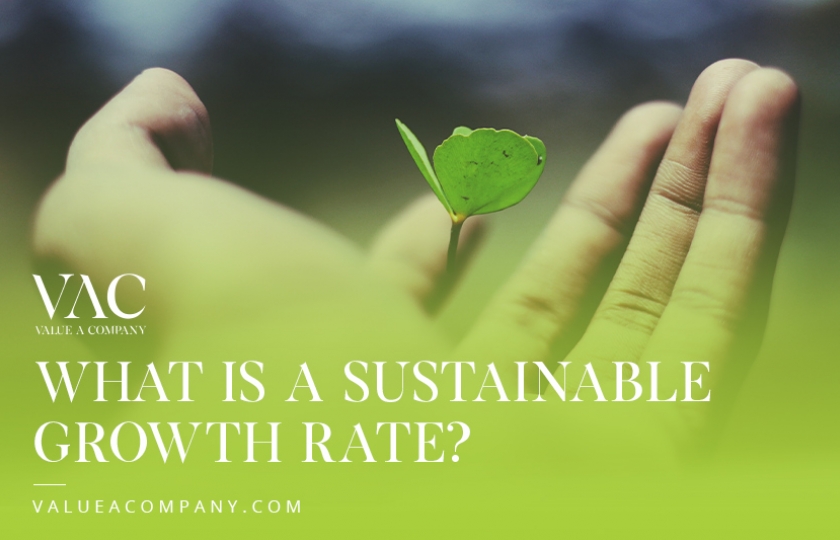 What is a Sustainable Growth Rate?